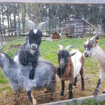 Dep Gaestehaus Residenz Inn Neukirchen am Großvenediger
